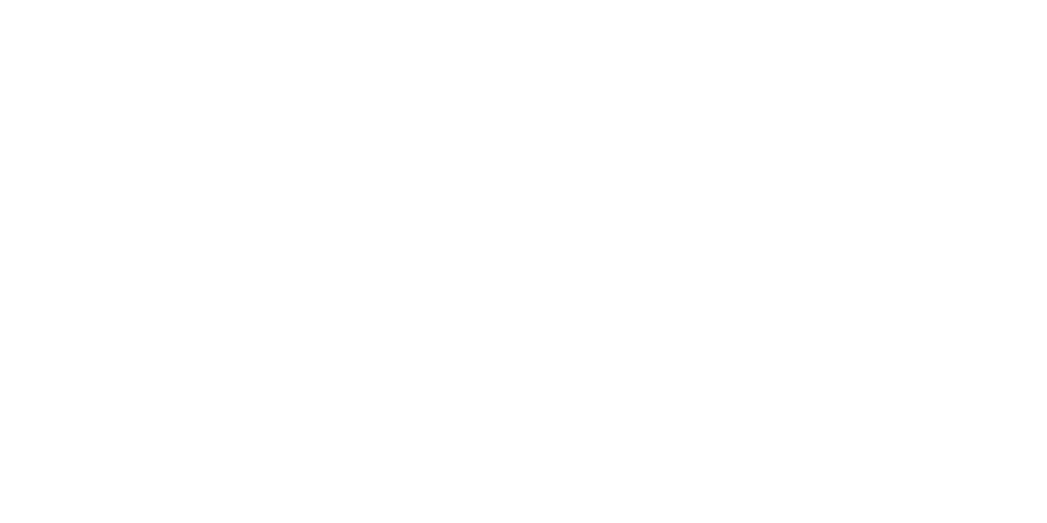 S L A T E  H A I R  C A R E 